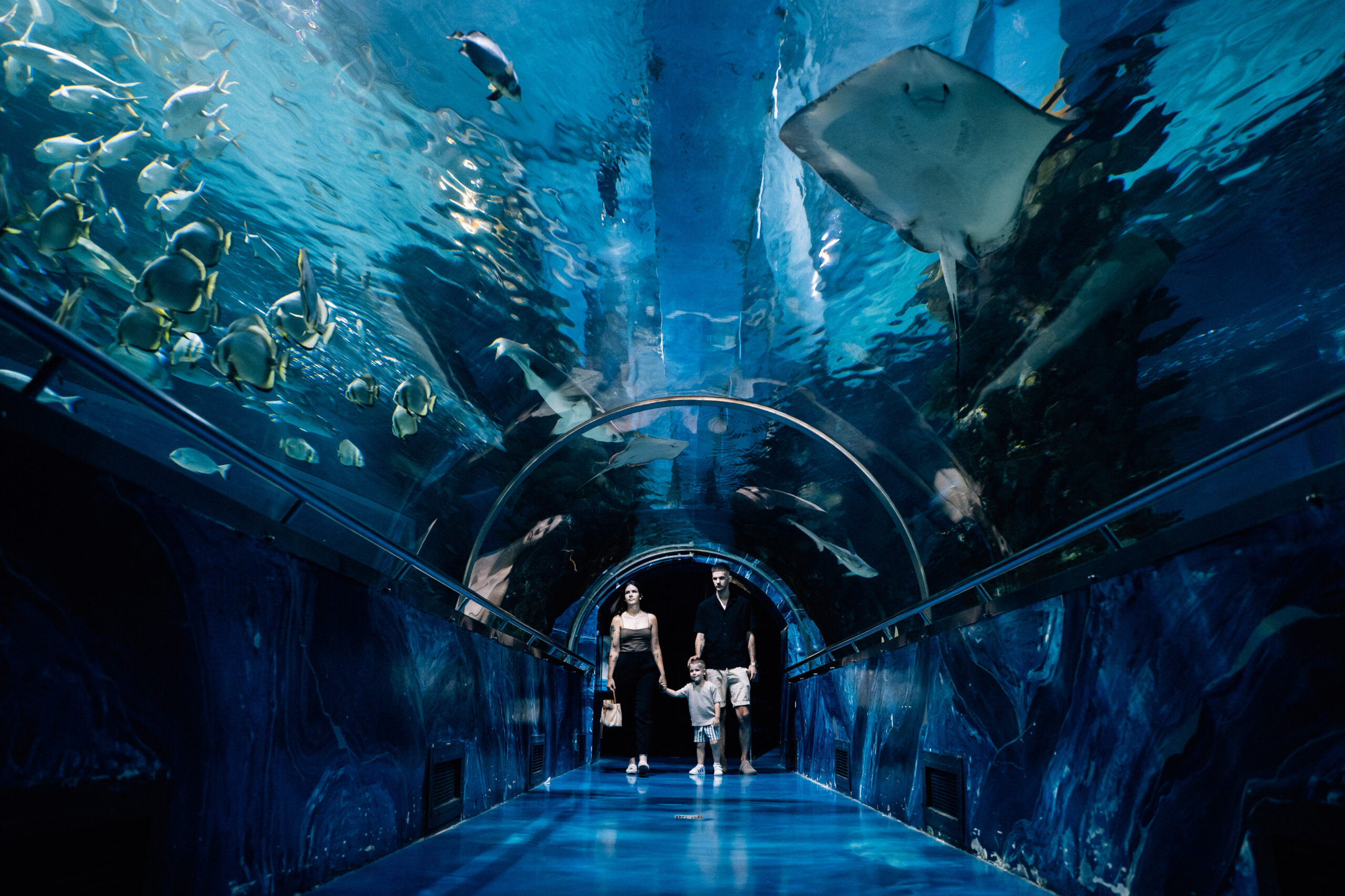 Tropicarium